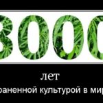 В Греции началась уборка урожая конопли