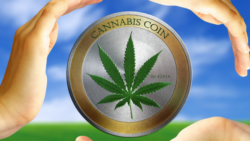 Канабискоин (CannabisCoin): криптовалюта CANN для продажи лечебной марихуаны