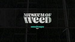 Weedmaps открывает музей марихуаны - Weedmaps Museum of Weed