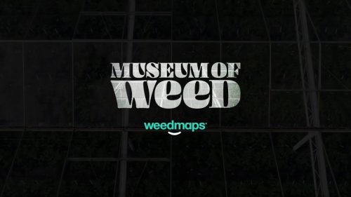 Weedmaps открывает музей марихуаны — Weedmaps Museum of Weed