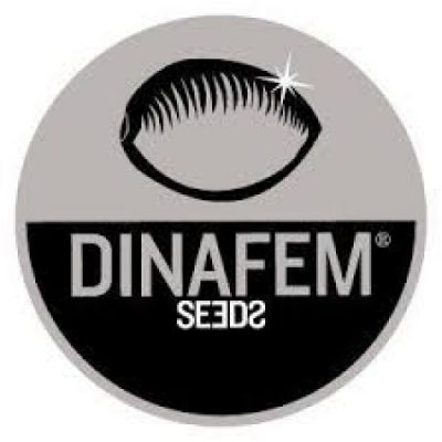 Dinafem Seeds (Динафем Сидс)