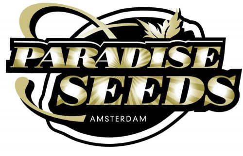 Paradise Seeds (Парадайз Сидс)